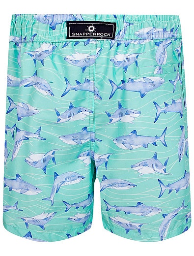 Пляжные шорты с принтом акулы SNAPPER ROCK - 4104519271343 - Фото 6