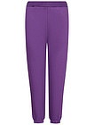 Фиолетовые спортивные брюки - 4244509382243