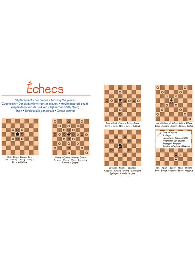 Настольная игра "Шахматы и шашки" 27х27 см. Djeco - 7134529082919 - Фото 6