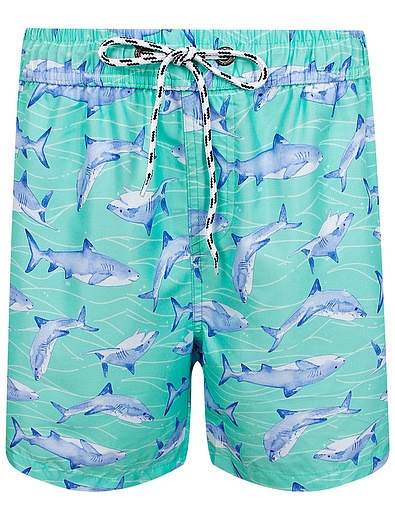 Пляжные шорты с принтом акулы SNAPPER ROCK - 4104519271343 - Фото 1
