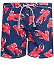 Пляжные шорты с рыбками - 4103019670052