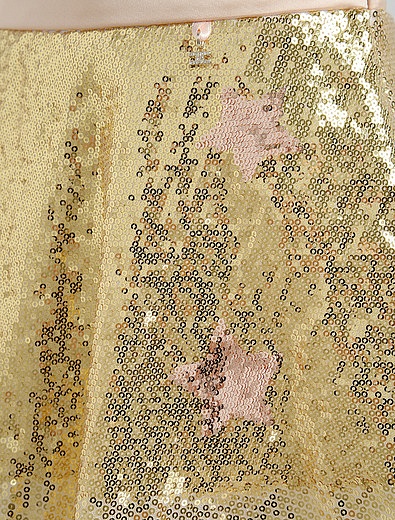 Золотистая юбка с пайетками ELISABETTA FRANCHI - 1040109780037 - Фото 2