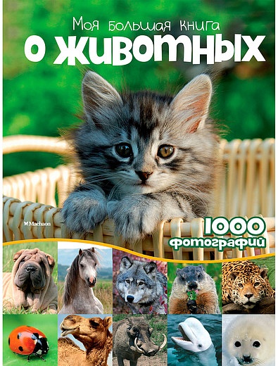 Моя большая книга о животных АЗБУКА АТТИКУС - 9004529080575 - Фото 1